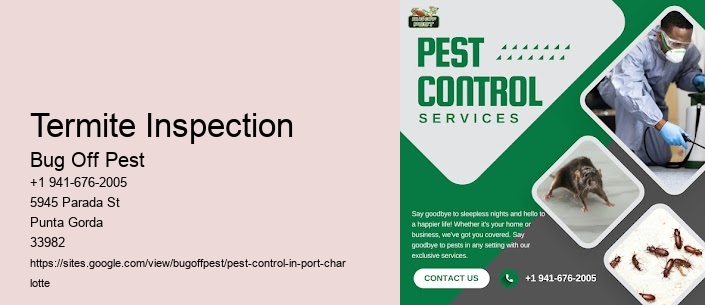 Termite Inspection Port Charlotte