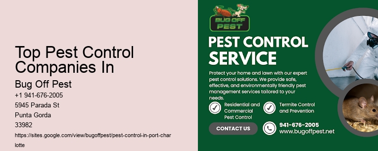 Top Pest Control Companies In Port Charlotte