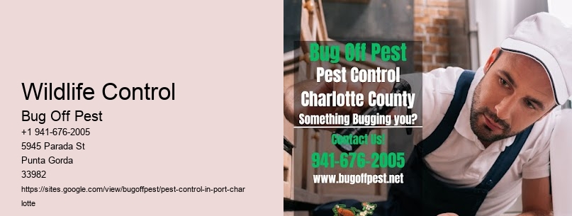 Wildlife Control Port Charlotte