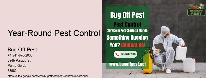 Year-Round Pest Control Port Charlotte