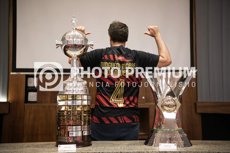 TAÇAS DA LIBERTADORES E BRASILEIRÃO
