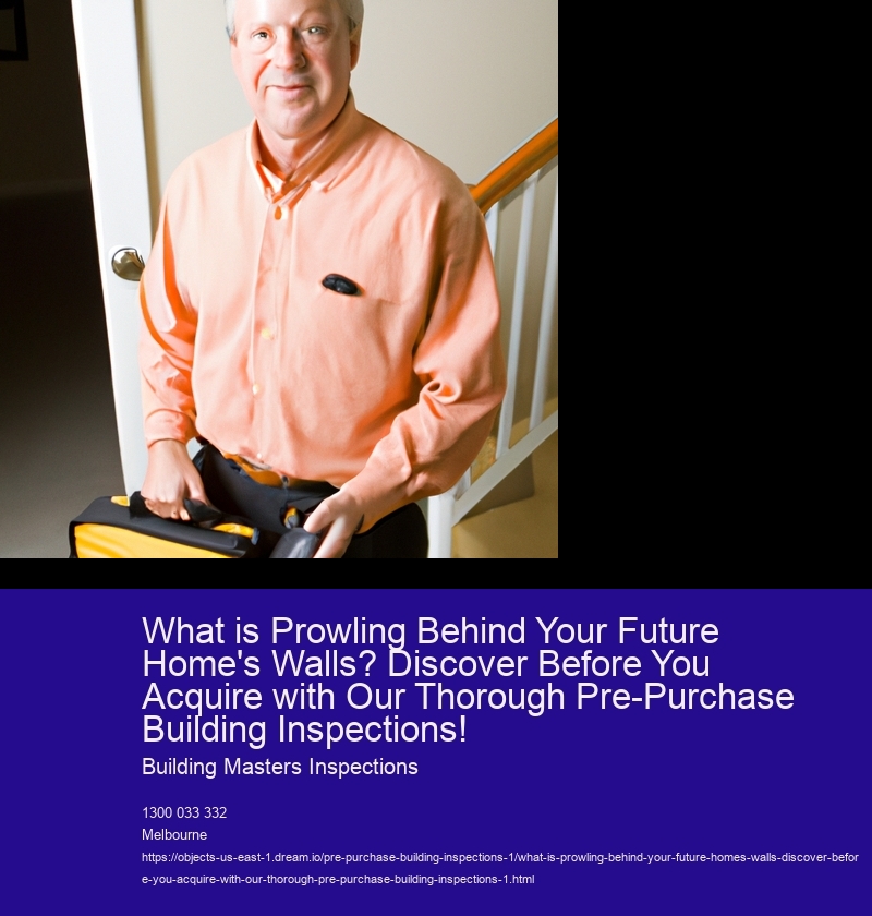 What is Prowling Behind Your Future Home's Walls? Discover Before You Acquire with Our Thorough Pre-Purchase Building Inspections!