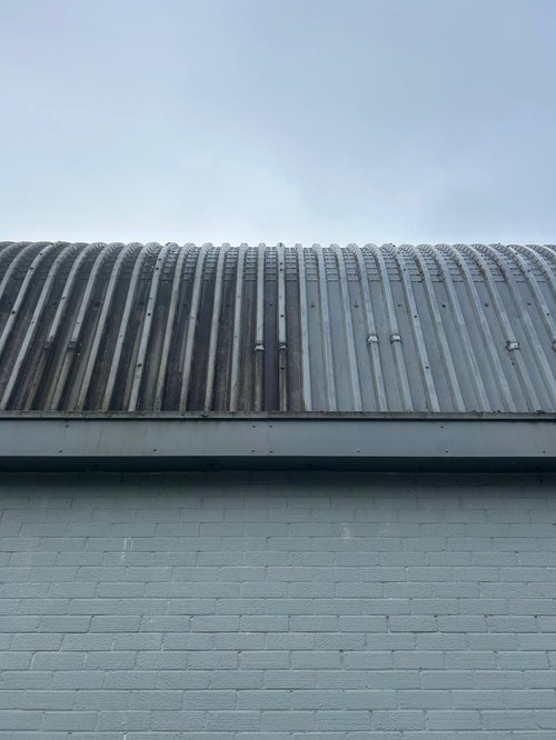 Manual vs Chemical Weed Control