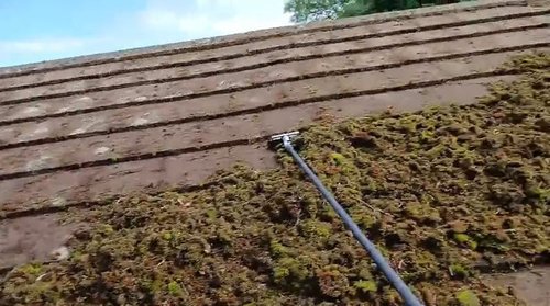 Biocidal Treatments for Lichen