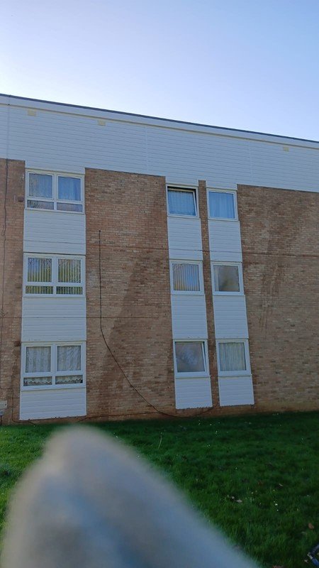 Pressure Washing for Weed Removal