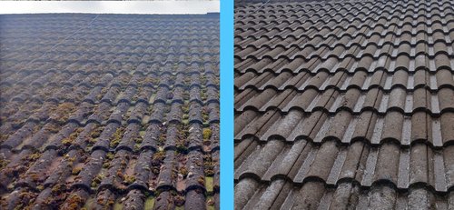 Conservation-Grade Cleaning Methods