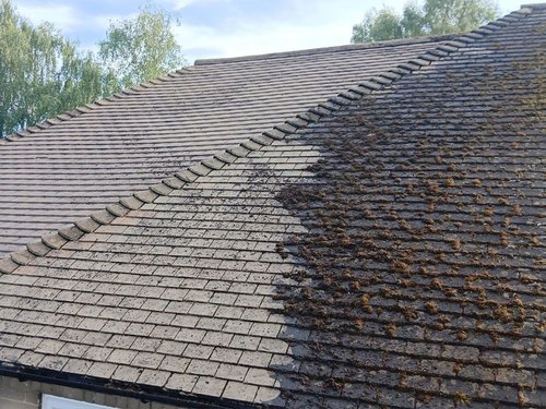 Chemical Treatments for Stubborn Staining