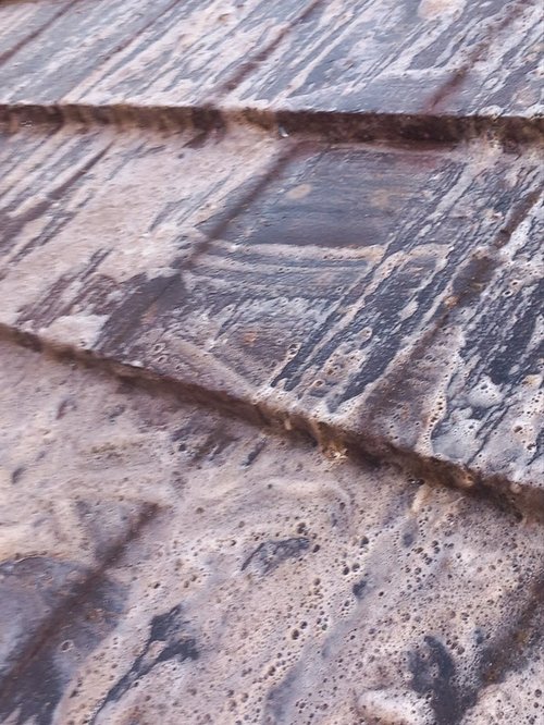 Environmentally Friendly Weed Management