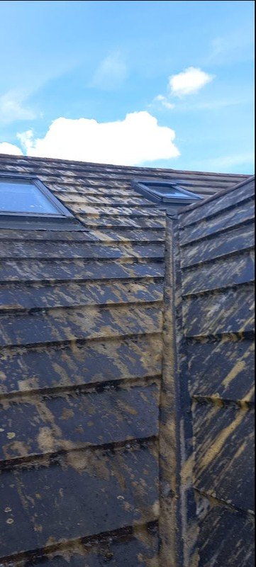 Creating Mold-Hostile Environments