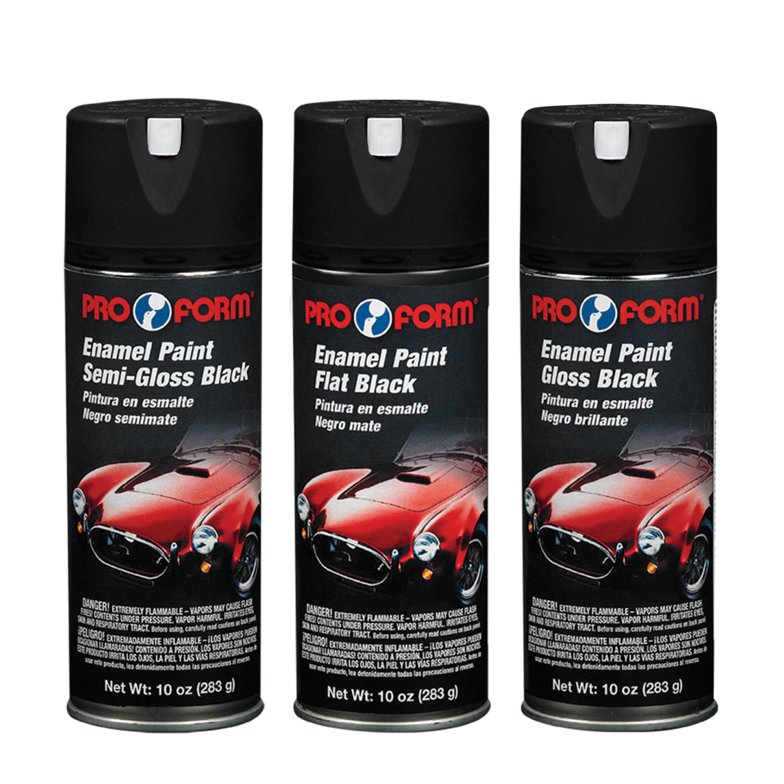 Enamel Paint Pro Form