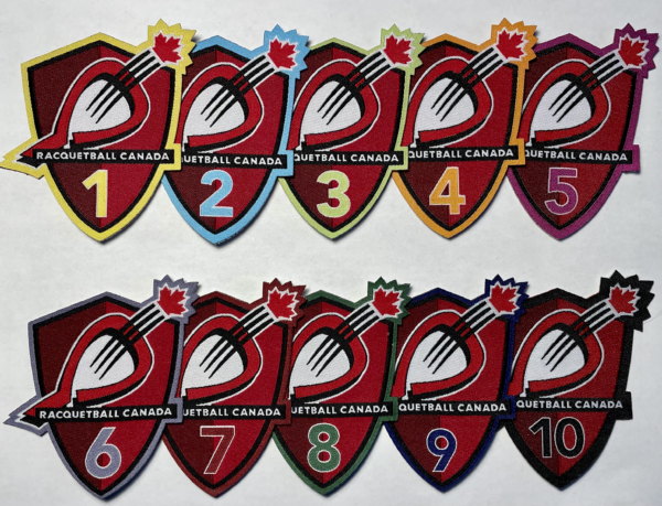 Ten Badge Program badges from Level 1 to 10.