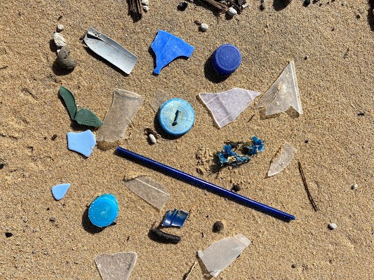 Cardboard removal near me