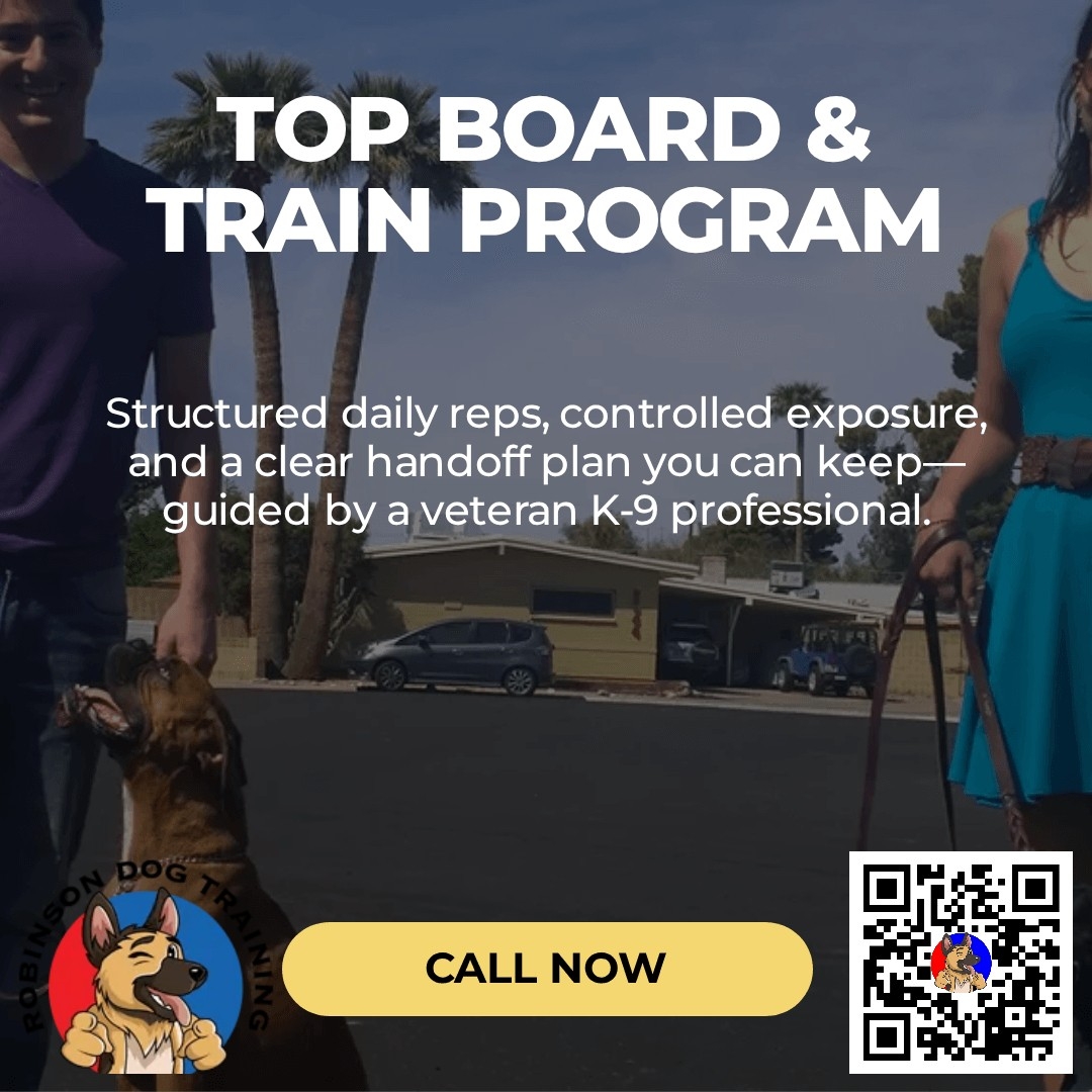 Therapy Dog Training