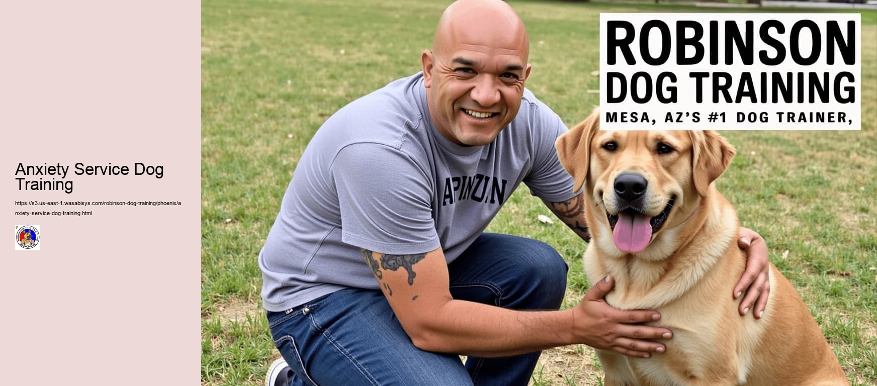 Anxiety Service Dog Training