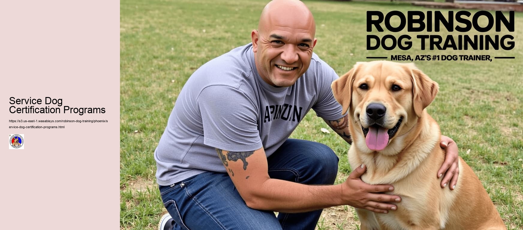 Service Dog Certification Programs