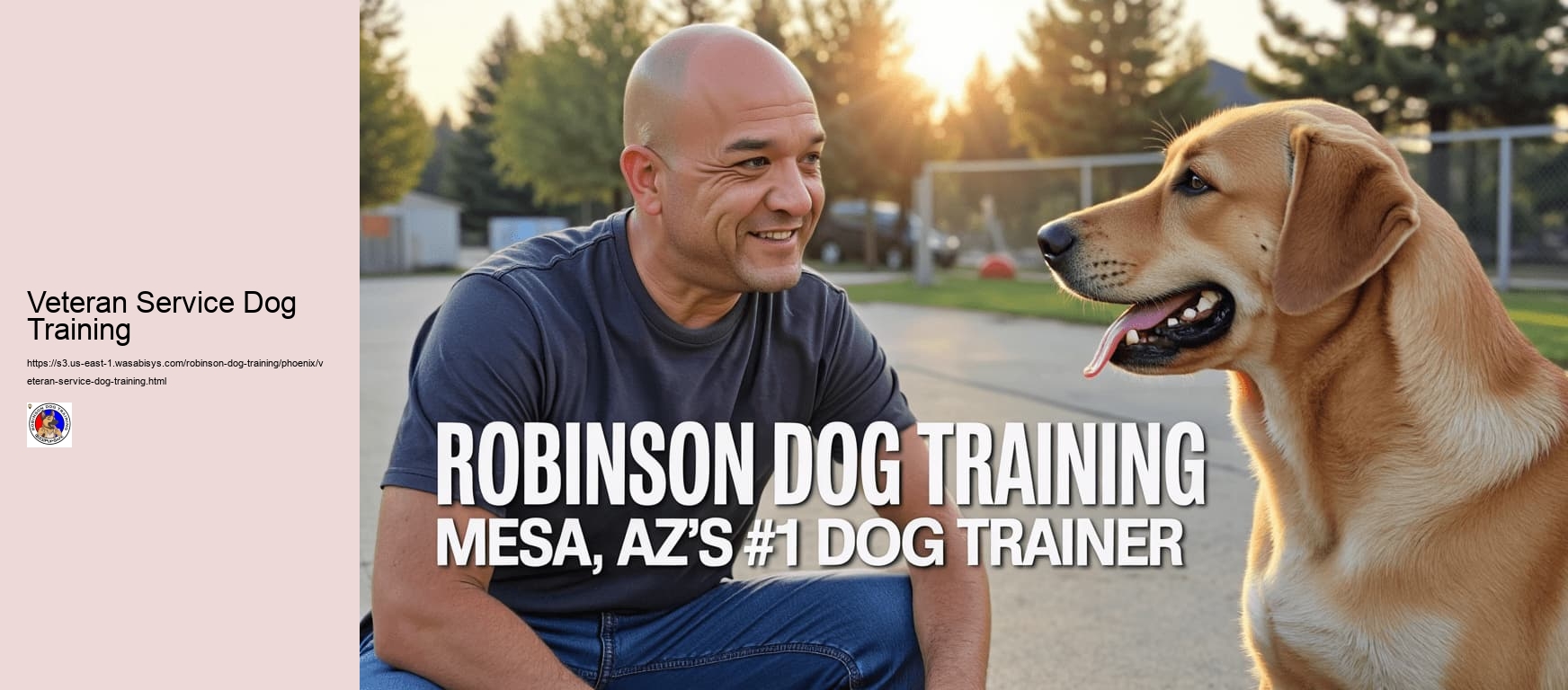 Veteran Service Dog Training