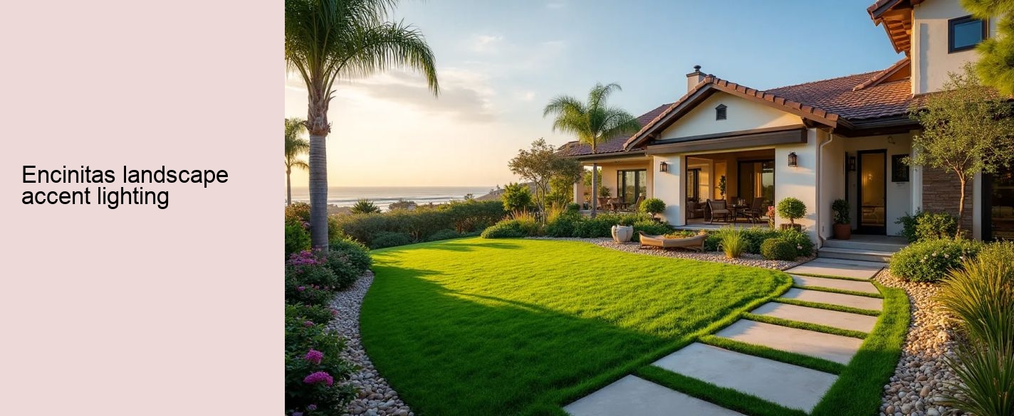 Encinitas landscape accent lighting