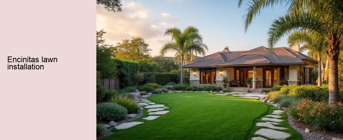 Encinitas lawn installation