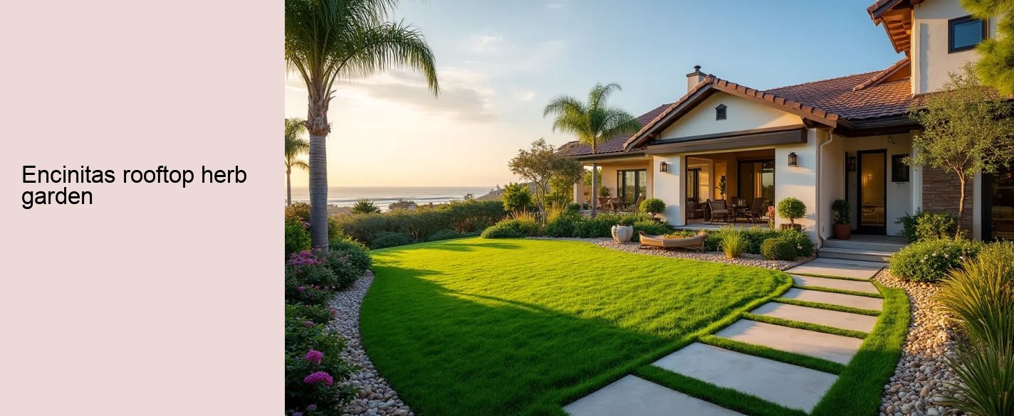 Encinitas rooftop herb garden
