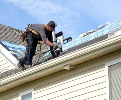 MIGHTY DOG ROOFING TOBYHANNA PA Mighty Dog Roofing MIGHTY DOG ROOFING TOBYHANNA PA