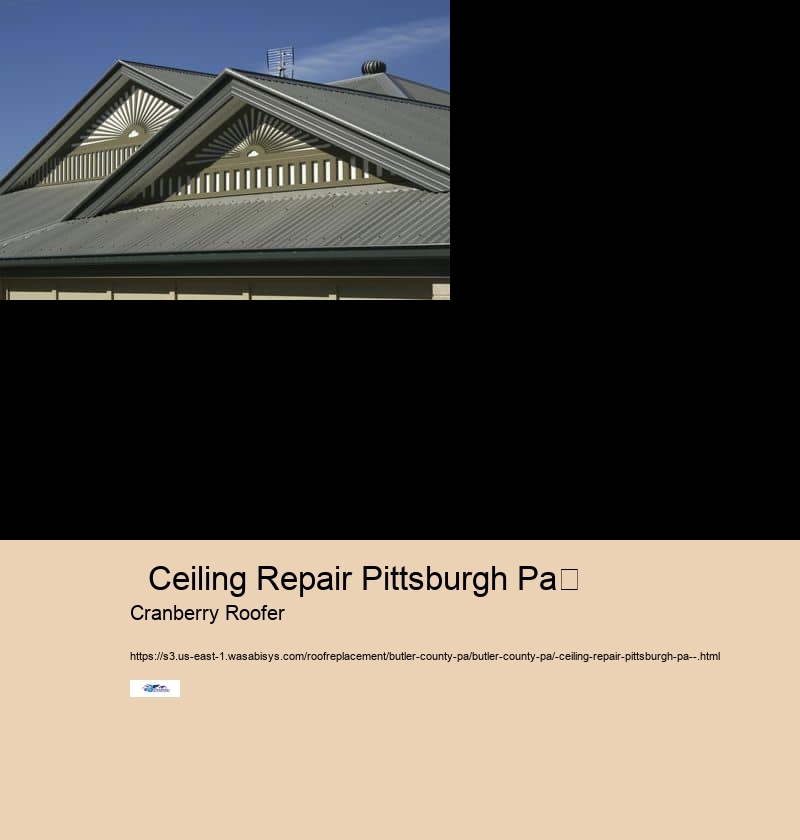   Ceiling Repair Pittsburgh Pa	 