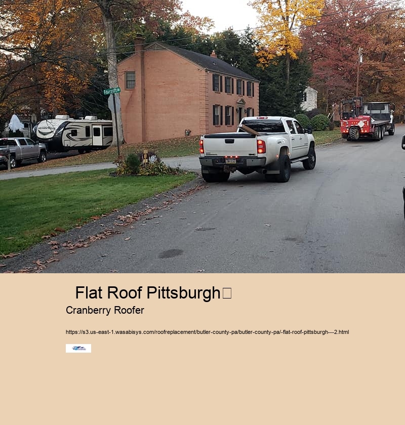   Flat Roof Pittsburgh	 