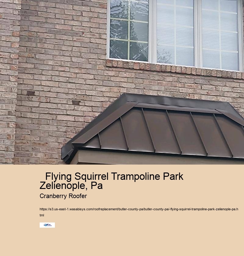   Flying Squirrel Trampoline Park Zelienople, Pa