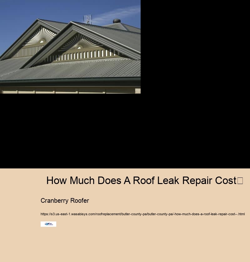   How Much Does A Roof Leak Repair Cost	 