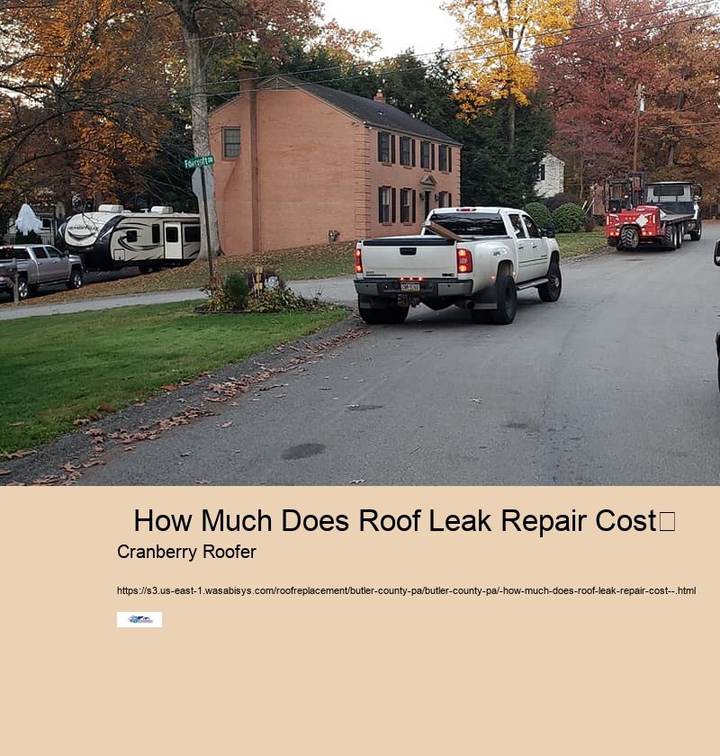  How Much Does Roof Leak Repair Cost	 