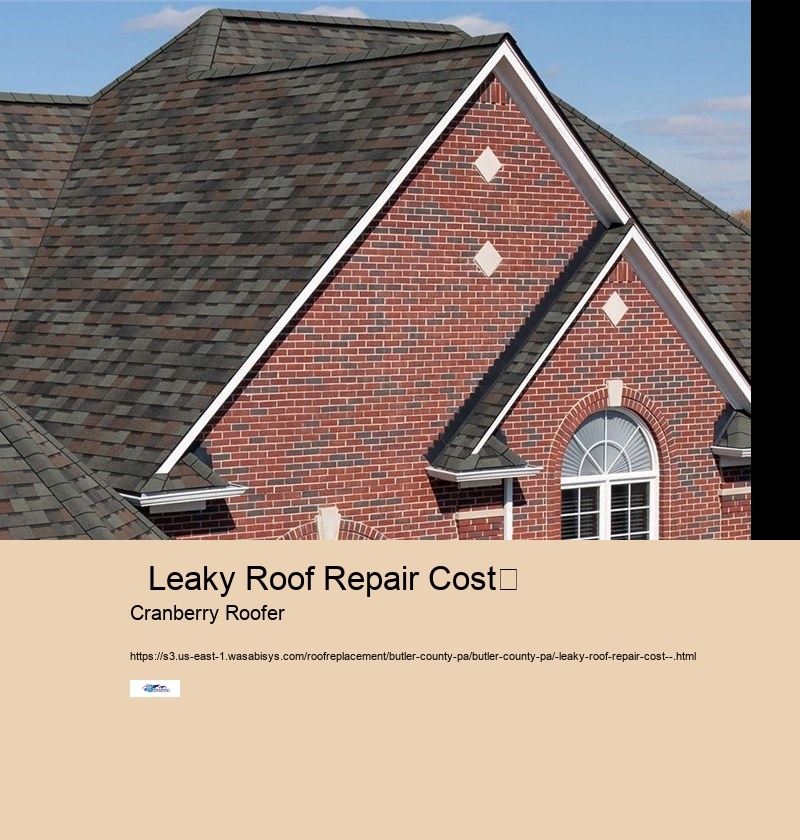   Leaky Roof Repair Cost	 
