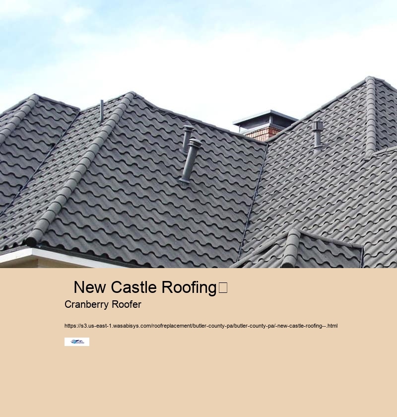   New Castle Roofing	 