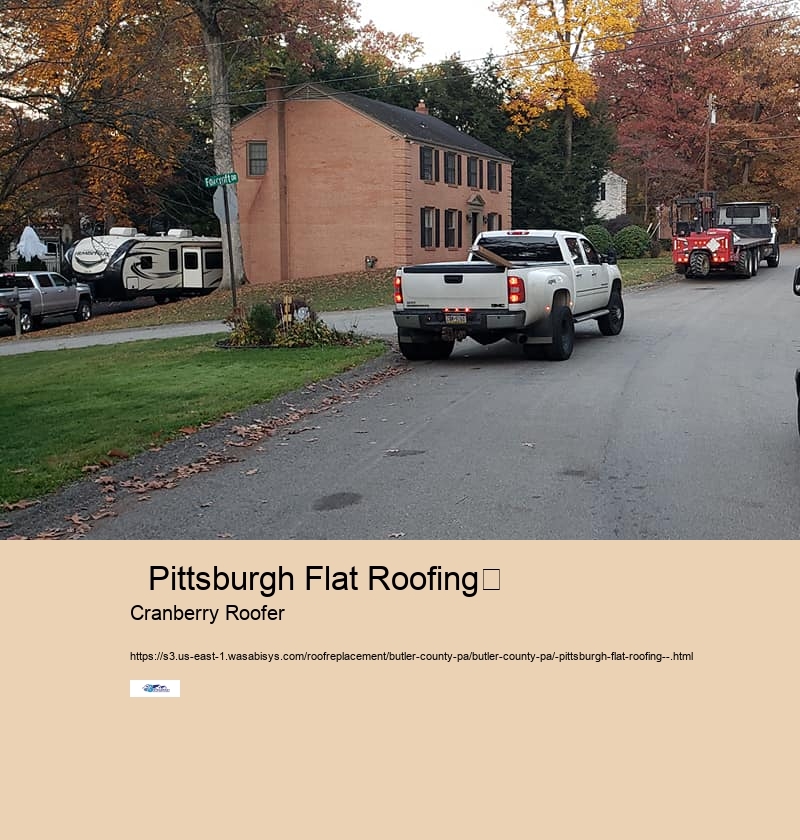   Pittsburgh Flat Roofing	 