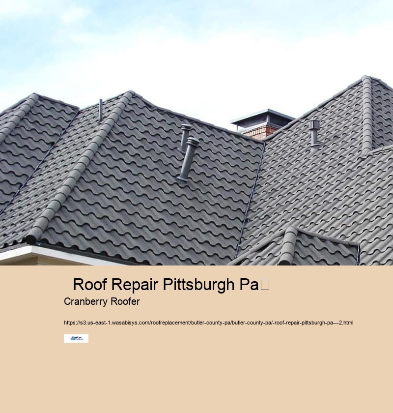   Roof Repair Pittsburgh Pa	 
