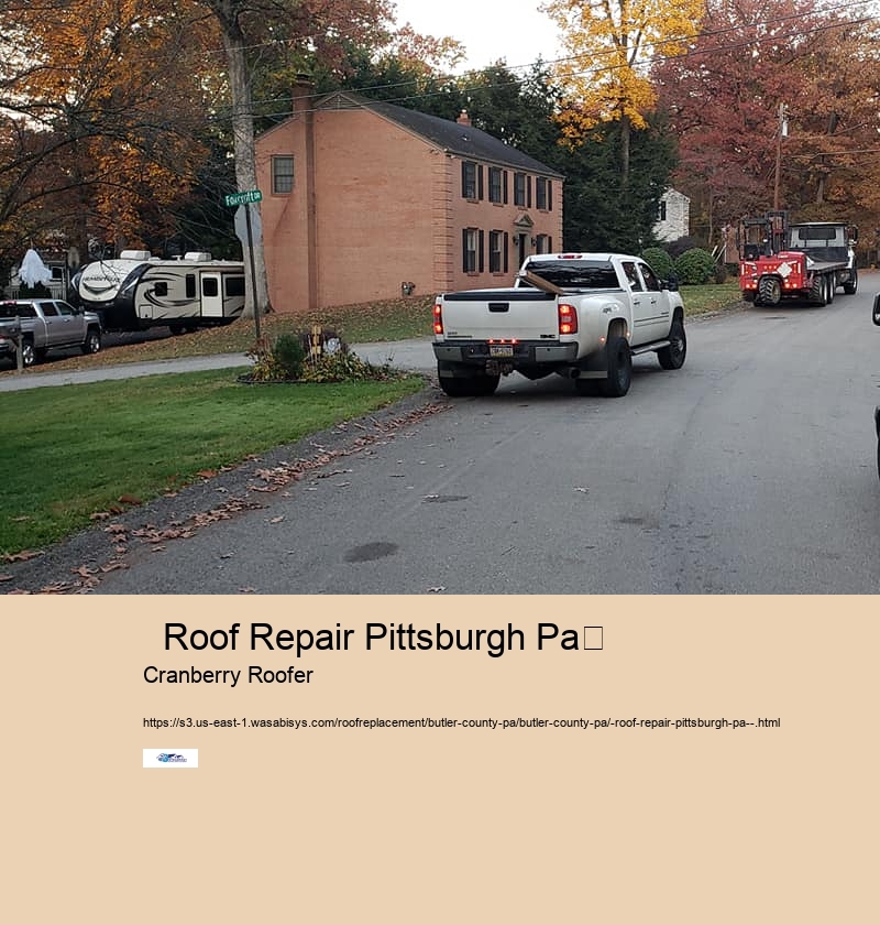   Roof Repair Pittsburgh Pa	 