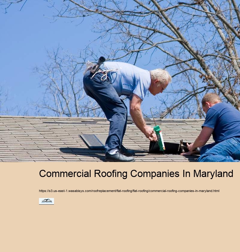 Commercial Roofing Companies In Maryland