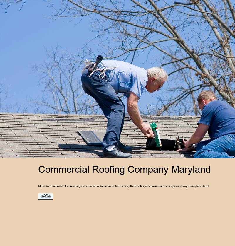 Commercial Roofing Company Maryland