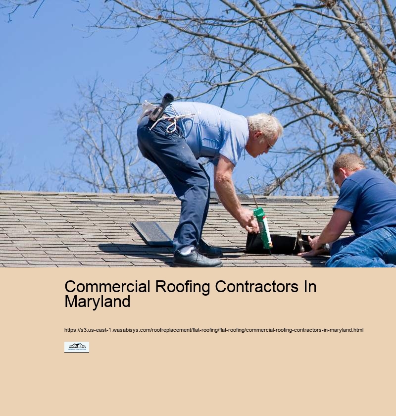 Commercial Roofing Contractors In Maryland