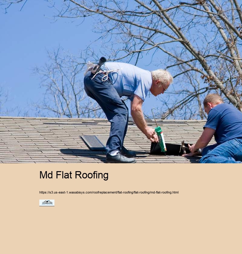 Md Flat Roofing