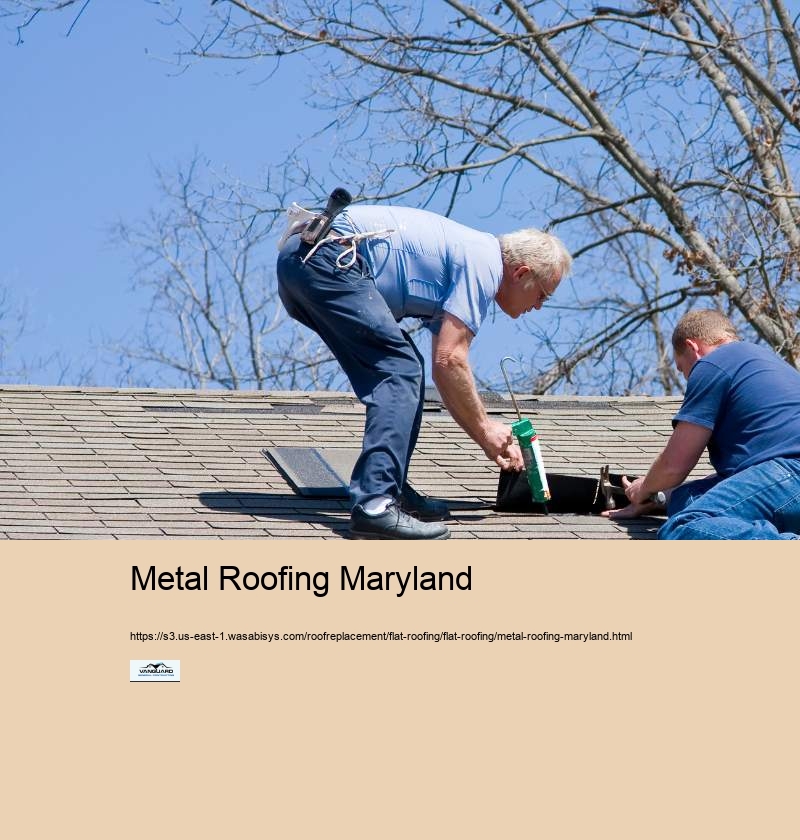 Metal Roofing Maryland