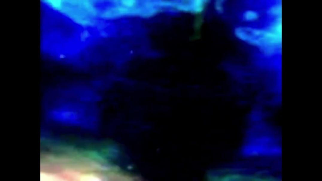 Finding Nemo Whale Roar