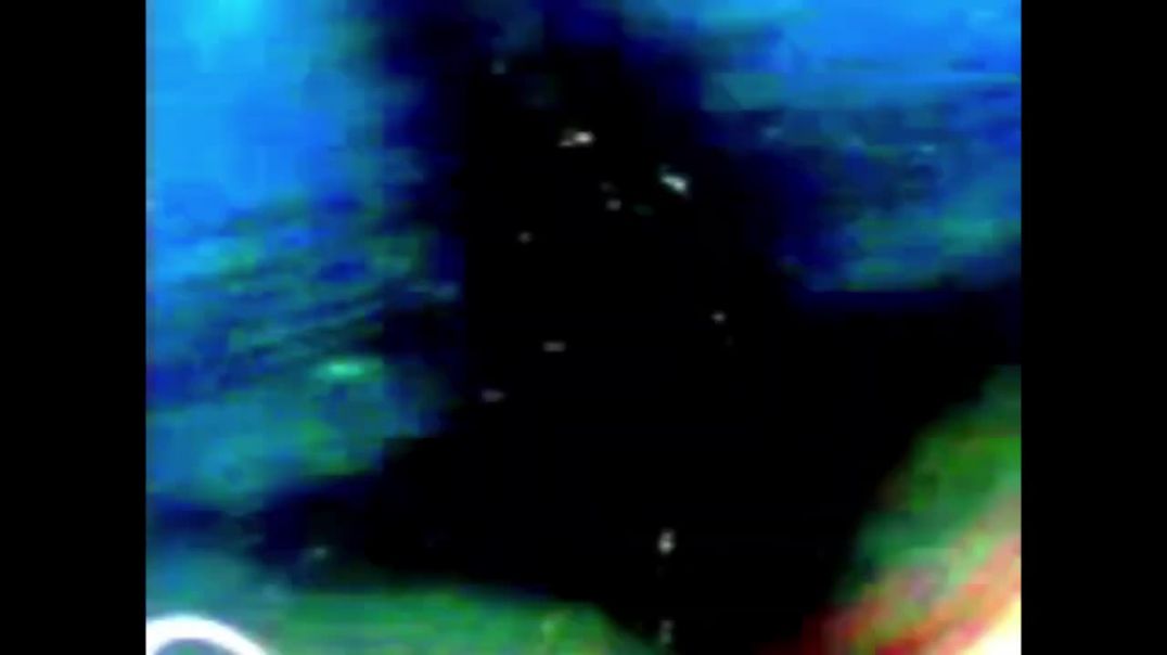 ⁣Finding Nemo Whale Darkness