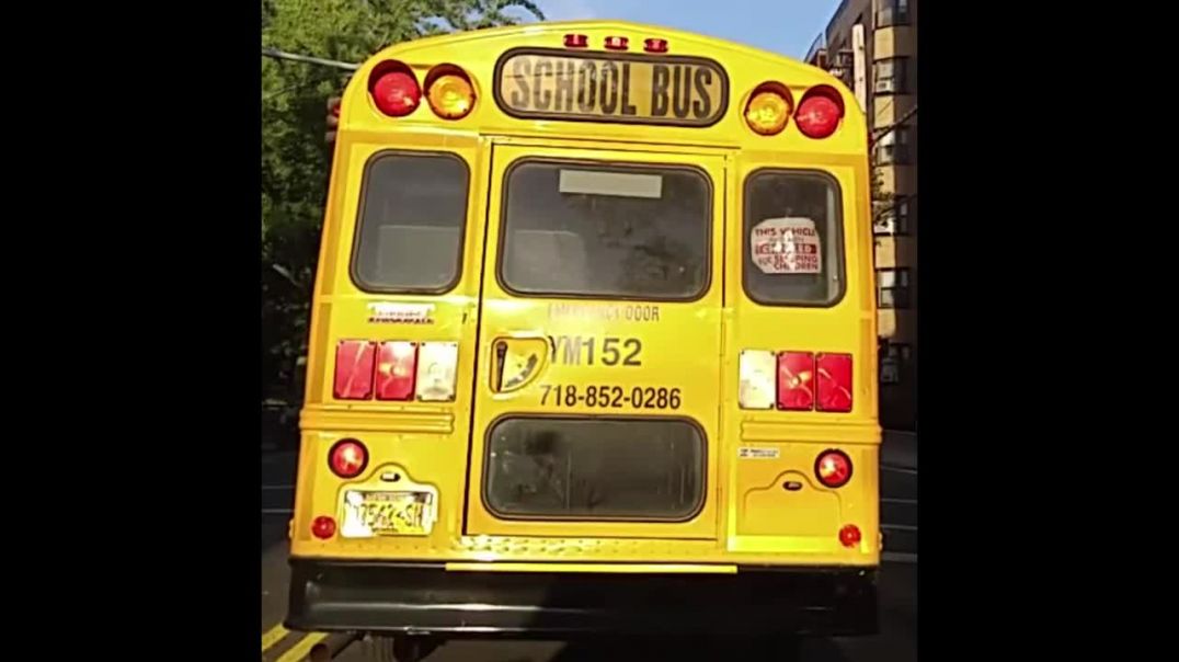 ⁣School Bus