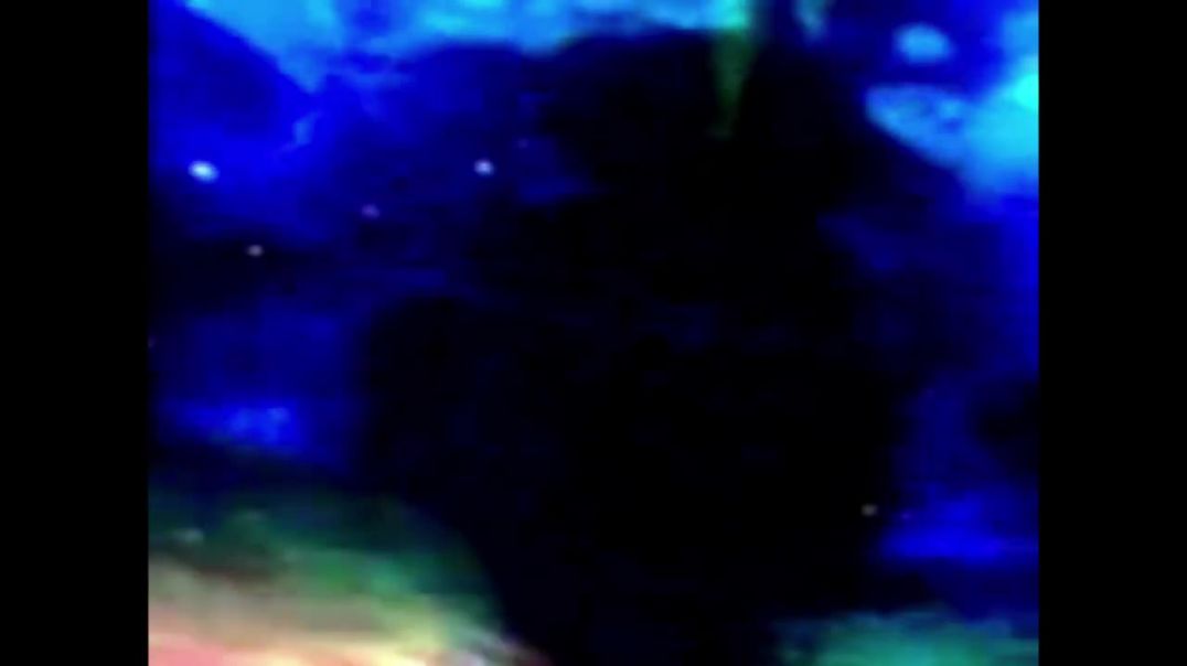 ⁣Finding Nemo Whale Darkness