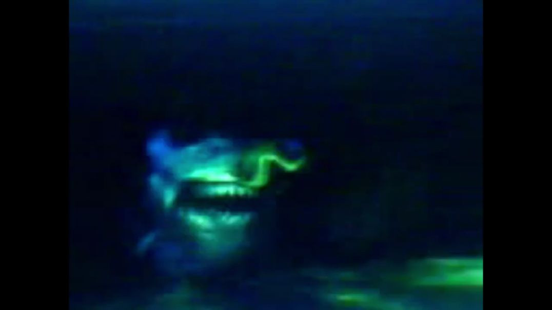 Finding Nemo Bruce Chase
