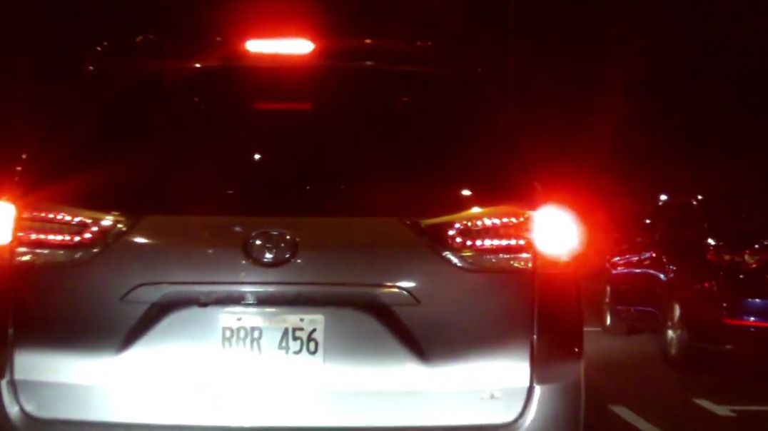 ⁣Toyota Sienna