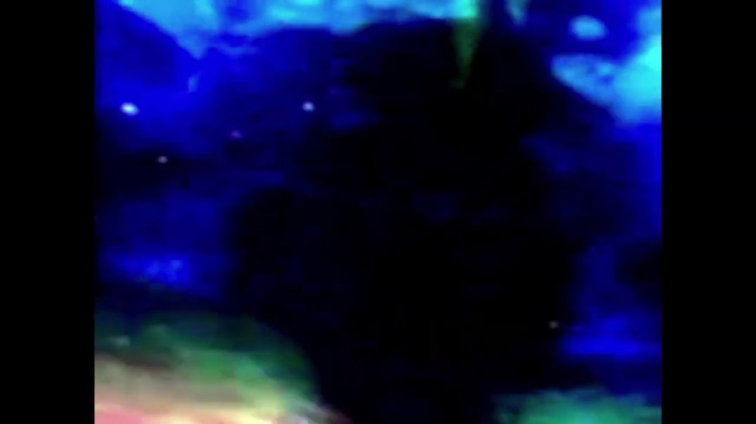⁣Finding Nemo Whale Roar
