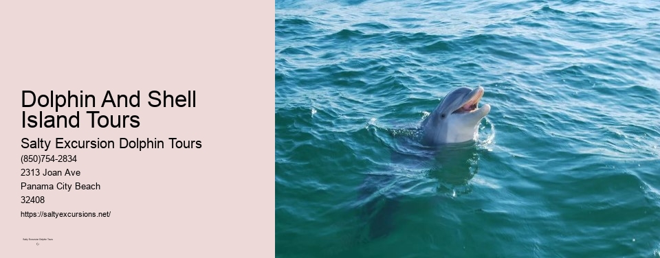 Dolphin And Shell Island Tours