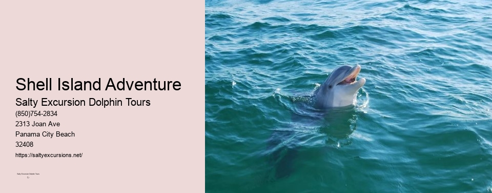 Shell Island Adventure