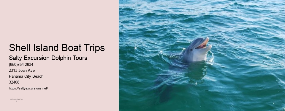 Shell Island Boat Trips