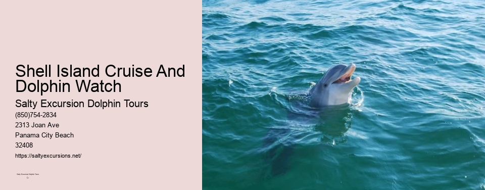 Shell Island Cruise And Dolphin Watch